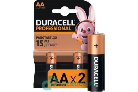 Батарейка Duracell Professional LR6/AA 2BP