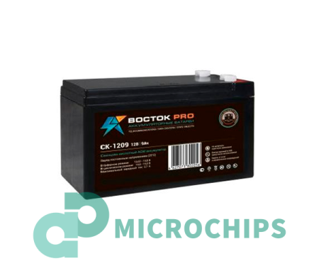 Аккумулятор Восток PRO СК-1209 (AGM, 9Ah)
