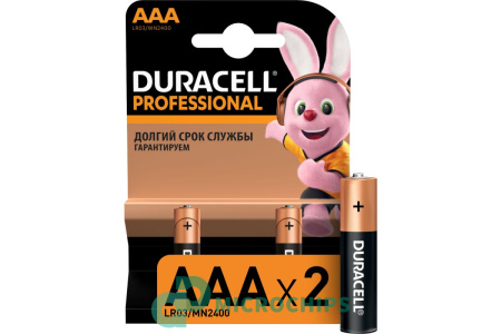 Батарейка Duracell Professional LR03/AAA 2BP